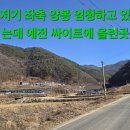 박재호친구안찬진씨와은사시은사시상황산행을하러가약초메니아장재영씨가오트바이로군락지안내대박산행15,006보11.01km 이미지