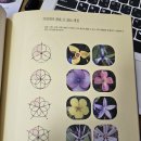 9월 21일 4-5학년 창의수학-"꽃잎은 돌려 보고, 잎·나비는 접어 본다 " 이미지