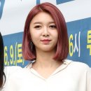 다미 이미지