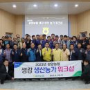 키위워크샵 이미지