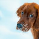 형제부동산 이미지