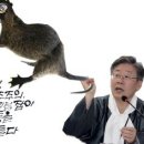 버니 이미지