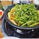 얼큰샤브칼국수
