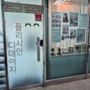 송파 압화 프로필 사진 스튜디오 플리시안 꽃 공방 사진 촬영 후기