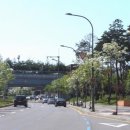 꽃이야 나무야 파주 이미지