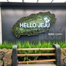 삼성 비상일체 2호 | 티웨이 항공 비상구 좌석 무료 가능? 조건 장단점 총정리 실제 배정 경험 후기