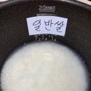 수백농장 | 맛있는쌀 2020햅쌀 한오백농장 무농약 백진주 햅쌀 생산