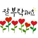써니&떡케이크
