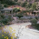 큰골농원 이미지