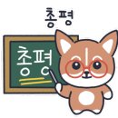 카카오 이미지