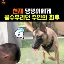 Hank Locklin - Please Help Me I’m Falling 이미지