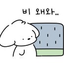 바당쿰다 이미지