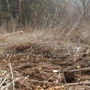 김순기농장 이미지