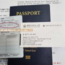 행정사사무소 나무 이미지