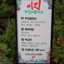 자연음식문화원 이미지