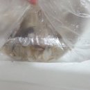 남당항 공중화장실1 | 남당항맛집 새조개축제 새조개찜 솔직후기