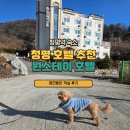 청평역 앞 | 청평 호텔 원스테이 : 청평역 숙소 애견동반 방문후기