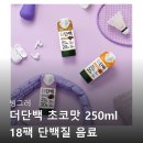 더리얼초코 | 빙그레 더단백 초코맛 단백질 음료 100% 리얼 후기 정리