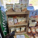 진솔할머니순두부 | 속초 순두부 맛집, 30년 전통 진솔할머니순두부 방문 후기