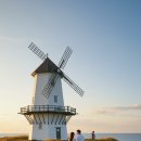 함안카타운 | [여름특집] 경남 여름 여행 추천지 Top 5! 거제 바람의 언덕부터 함안 해바라기축제까지