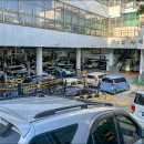 이화카독크 이미지