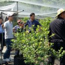 이연우농장 이미지