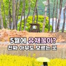 용동공원2 이미지