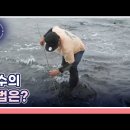 MBN 특종세상 제주 고망(구녁, 구멍)낚시 이미지