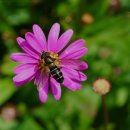 용인효민요양원 이미지