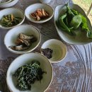 [춘천 맛집] 춘천 로컬 맛집❤️ 경춘국도 &#34;능골 엄나무 토종닭&#34; (영업시간, 주차) 내돈내산 후기