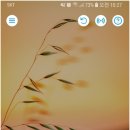 와이덱스보청기(잠실롯데점) 이미지