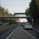 안산초등학교 버스정류장 이미지