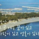 소안도 펜션 이미지