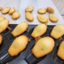 다운초등학교 이미지