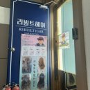 정관장인덕원