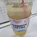 매머드익스프레스서초 이미지