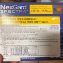 청주대형약국 이미지