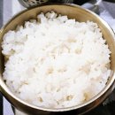 명품 벚꽃 길 | 청계산맛집 춘형가 청계산본점 인생 명품 장어구이 정식 만나고옴