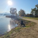 두물머리 | 서울 근교 나들이가서 먹은 두물머리 핫도그 후기