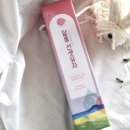 달달퐁 이미지