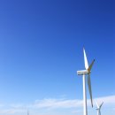 아름드리 목장 이미지