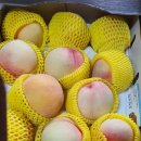 복상농장 이미지