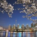 온조마루근린공원 이미지