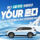 (주)엔트리소프트 이미지