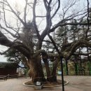 당산휴게소 이미지