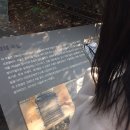 [서울/송파/잠실] 로컬관광&amp;게임 리얼월드 앱으로 풍납동 200% 즐기기! &lt;잃어버린 왕국, 한성백제를...
