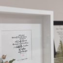 샬롬캘리