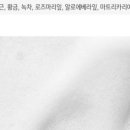 헤드트리 이미지
