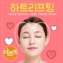 아르뜨성형외과 네이버블로그