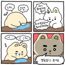 2024년 8월
